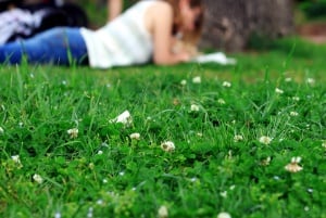 Image shows a young woman studying in a park.